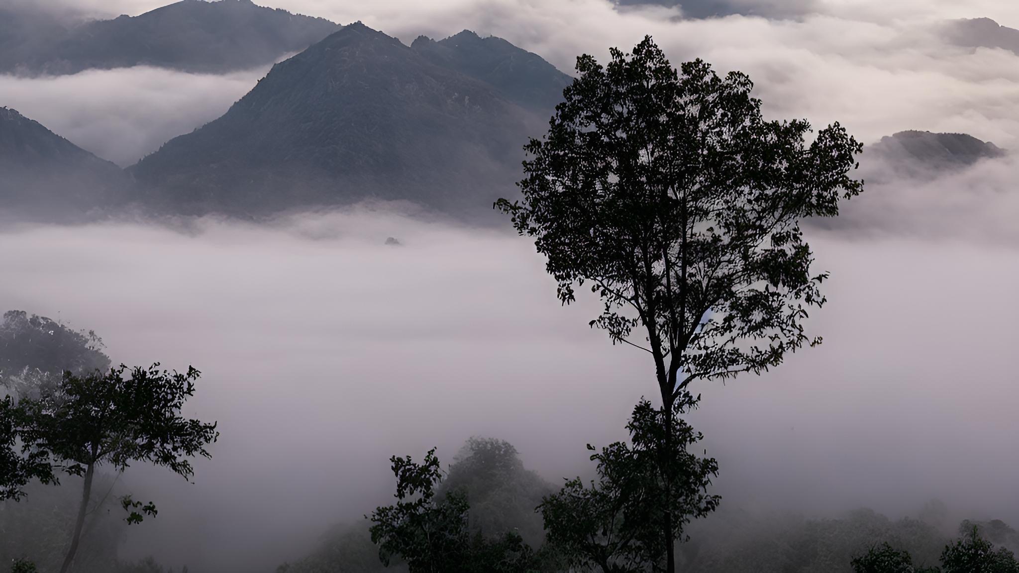 IMG_4368 感谢您关注和支持我们的研究工作!如果您有任何疑问或者建议,请随时联系我们。 期待您的宝贵意见!这将助力本课题取得更大进展。